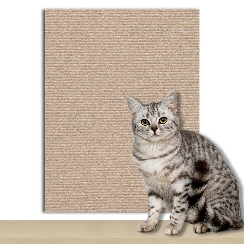 🐾 Cat Scratch Board 🐾