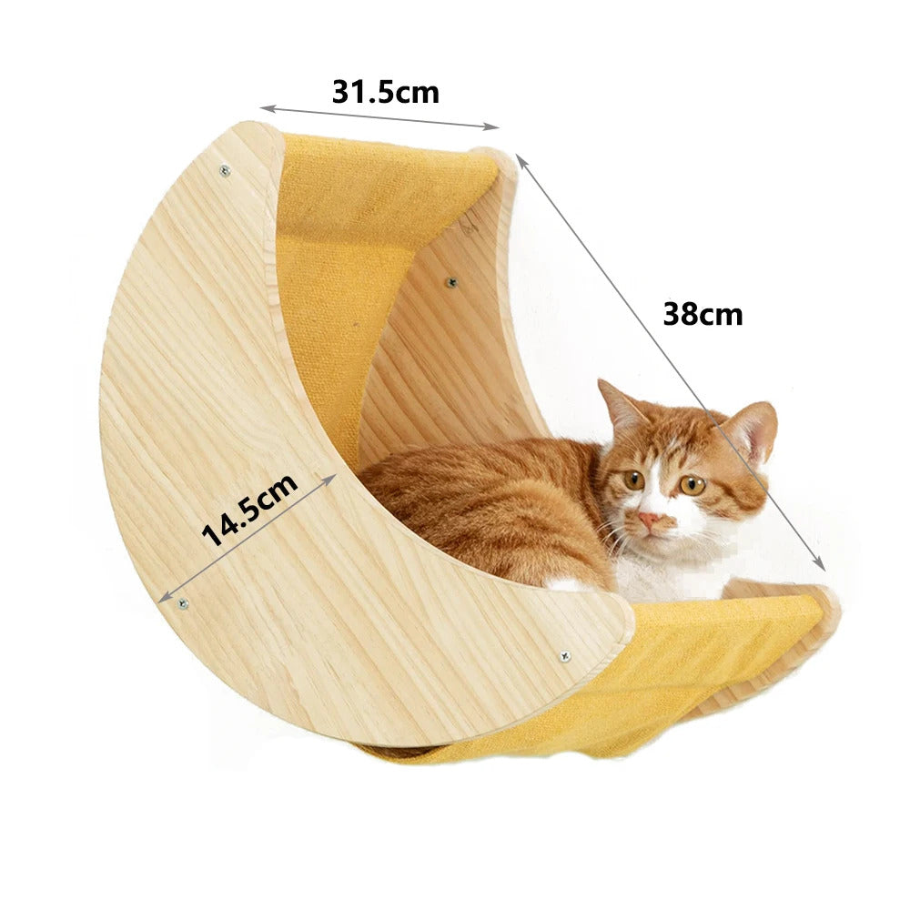 🐾 Wall-Mounted Cat 🐾