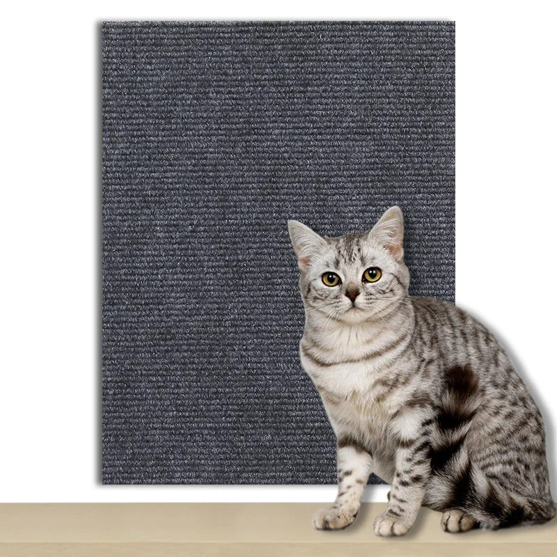 🐾 Cat Scratch Board 🐾