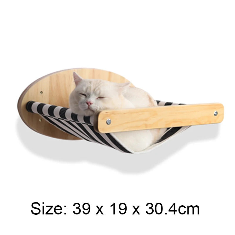 🐾 Wall-Mounted Cat 🐾