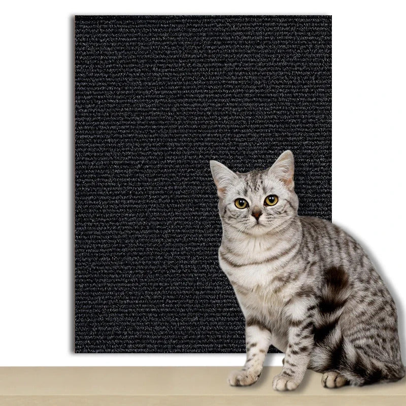🐾 Cat Scratch Board 🐾
