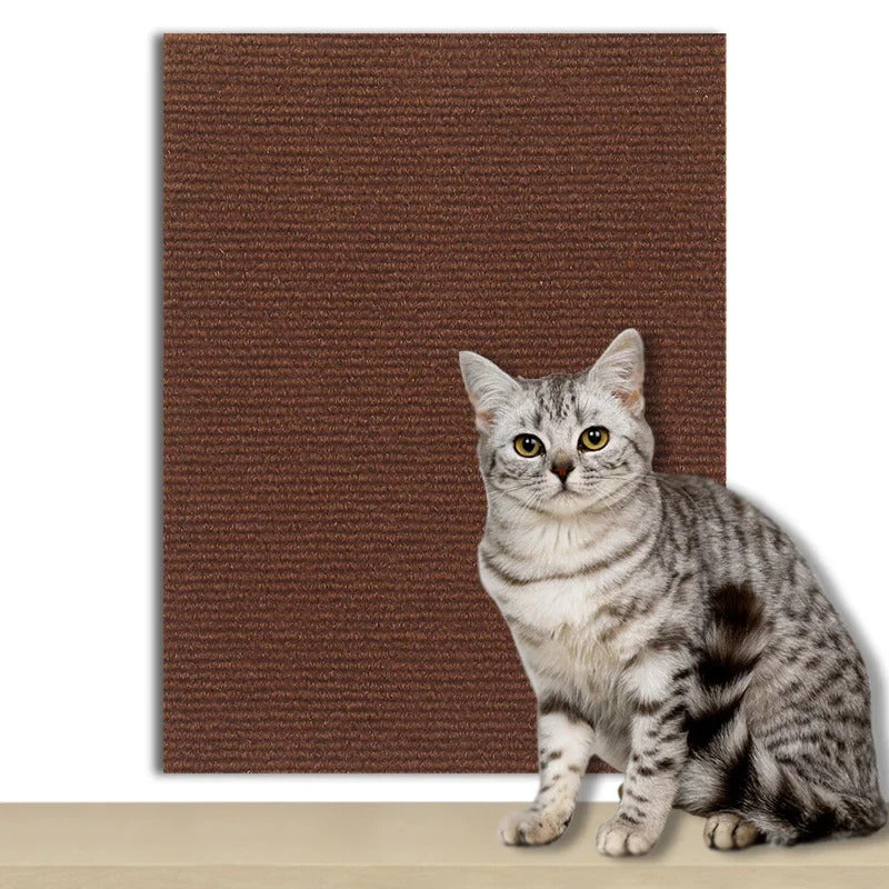 🐾 Cat Scratch Board 🐾