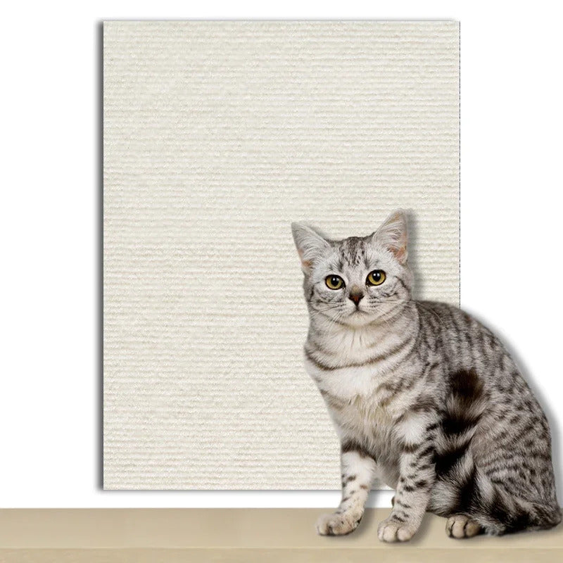 🐾 Cat Scratch Board 🐾