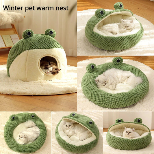 🐾 Cozy Frog-Shaped Pet 🐾