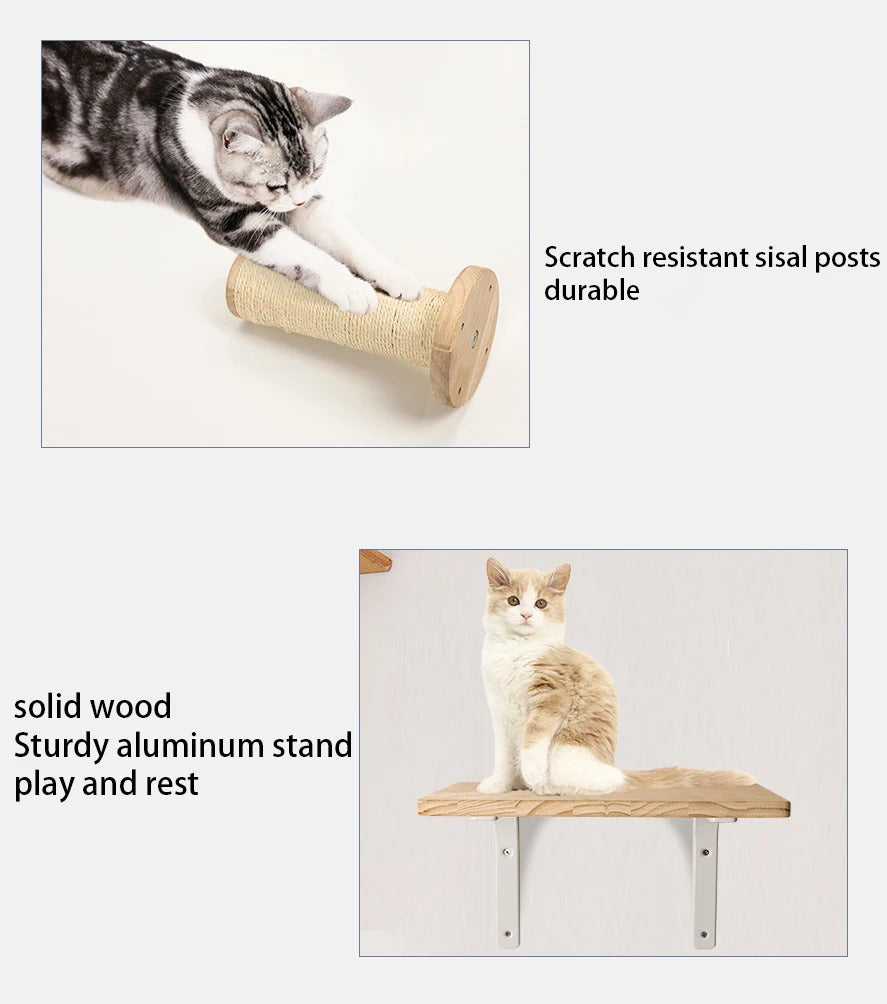 🐾 Wall-Mounted Cat 🐾