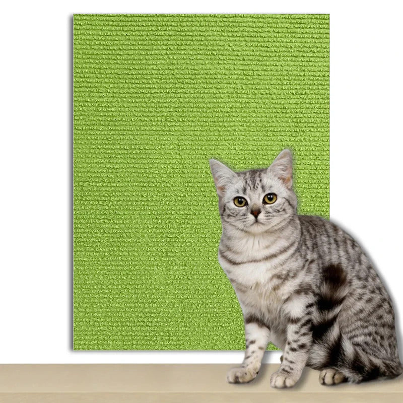 🐾 Cat Scratch Board 🐾